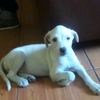 shashita232425