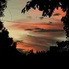 emilmauti49