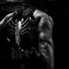 venomgymbiotexx.fit
