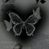 my_bell16
