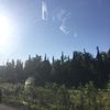 cooperdl2