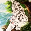 khang.nguyn7099