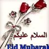 zubyearahmed433