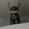 john_doeter