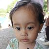 aradea615