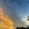 xinchao_11.oi
