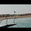 zeinabkamal983