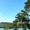 nhingimanhin2008