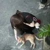 thu_huong3902