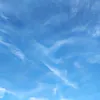 kannikasuriya5