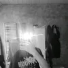 daryx_cz