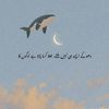 hadisanoor1214
