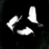 riyelzz_029