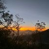 _menunggu_dia