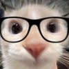 gatau_ajaa2