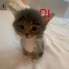 gf.onlysleep