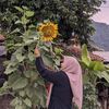 faridahinstan