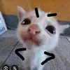 dihocde