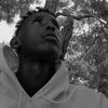 qeysmontana