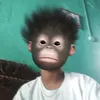 dmsalfjrxz112