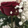 mdjgov
