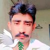 malikking7211