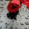 userm9sdpwfhzo