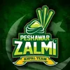 zalmi____lover