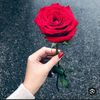 user70225259744832