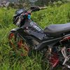 bangdii_04