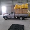 user443006619519