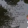 usghjjhvccfghkouy5688