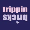 trippinbricks