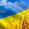 ukraina493