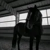 love_.horse_riding._