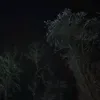 d2_tt...ego