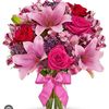 shireen242