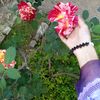 syedzadiii_01