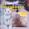 user5158844599803