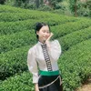 luongthitinh208