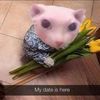bingus_humilde