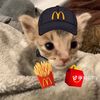muffinsthekitty7178
