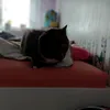 sweetjadzia