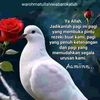 rashid34685