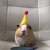 anthony_117343