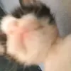 12eheh3