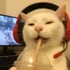 xanezairo