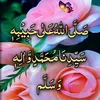 user31f9fldnko