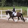 lizette_dressage