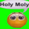 holy_moly196